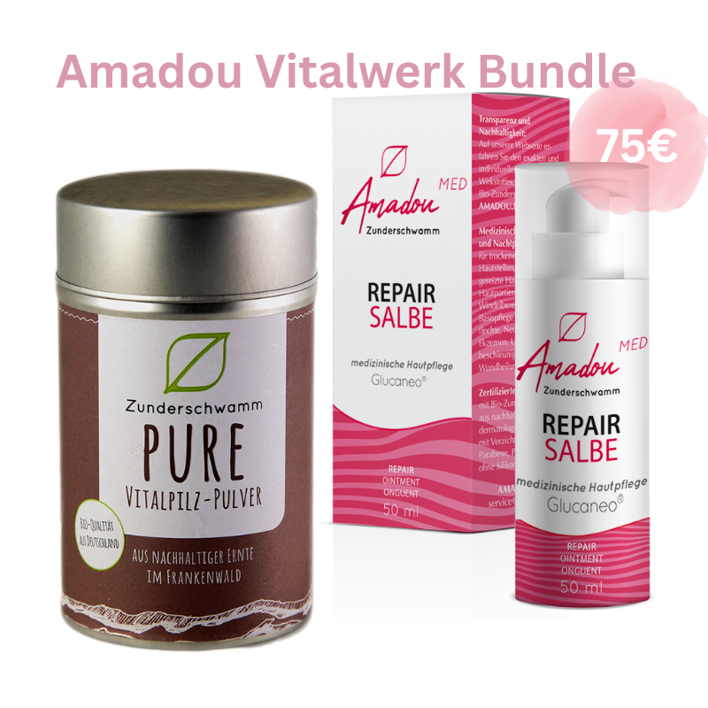 Amadou-Vitalwerk Zunderschwamm Bundle